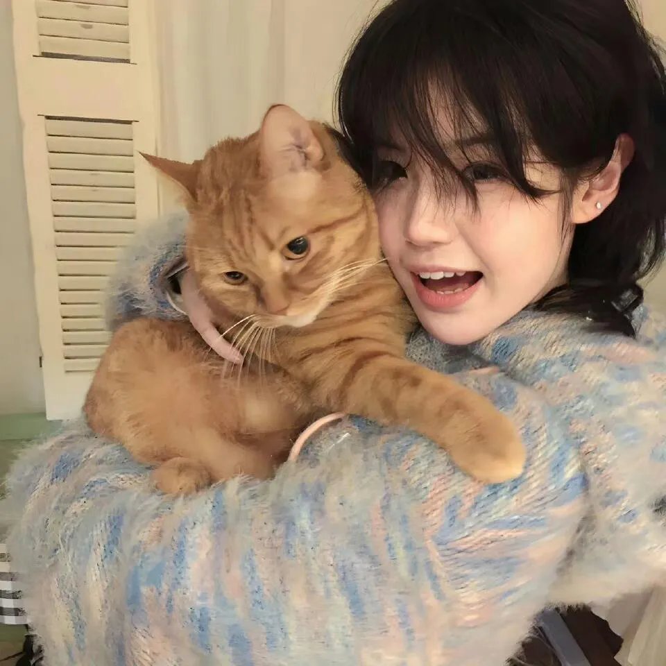 赖布衣妙算玄机粤语